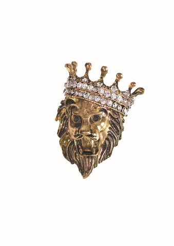 Hot Tomato Big cat brooch